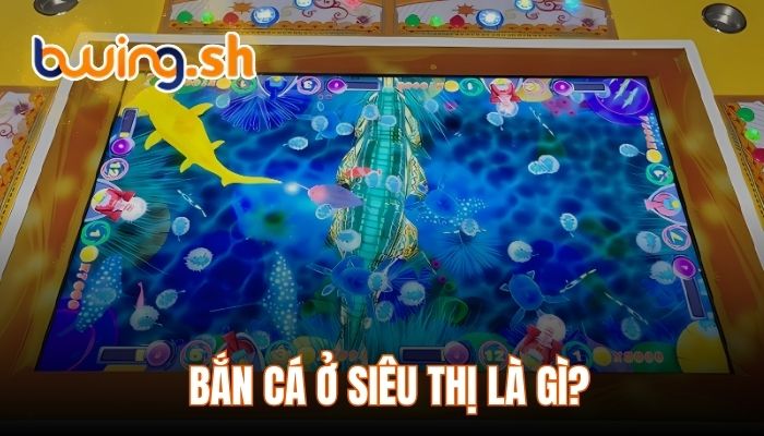 Bắn cá ở siêu thị là gì?