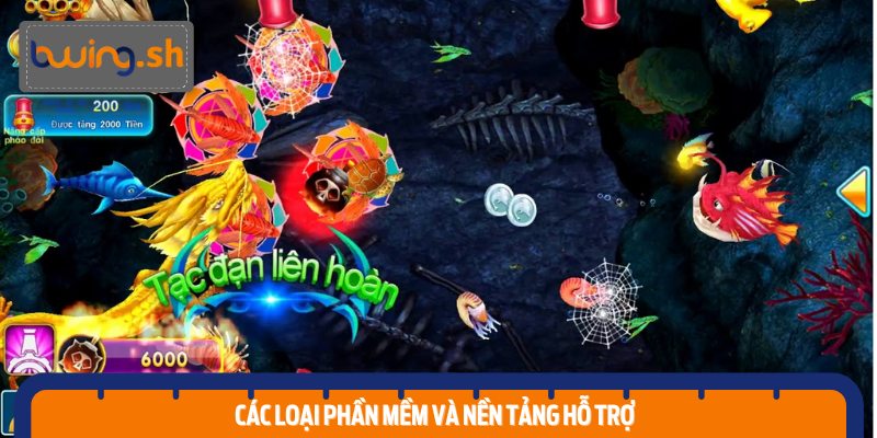 Các loại phần mềm và nền tảng hỗ trợ